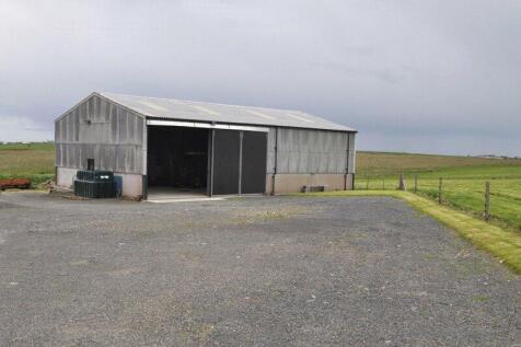 General Purpose Shed