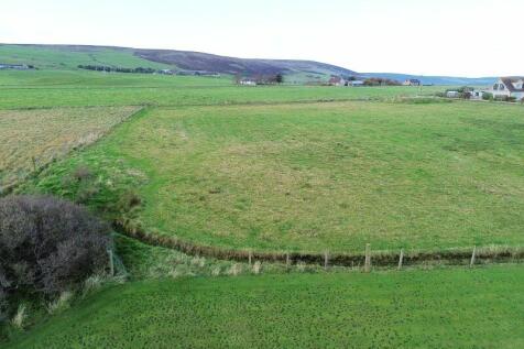 Field