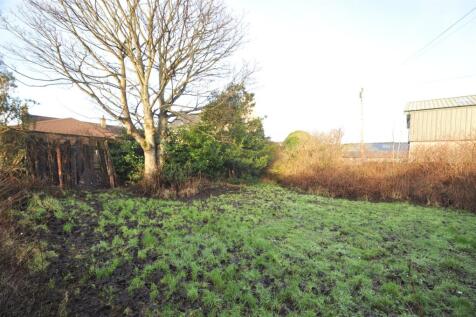 Communal Garden