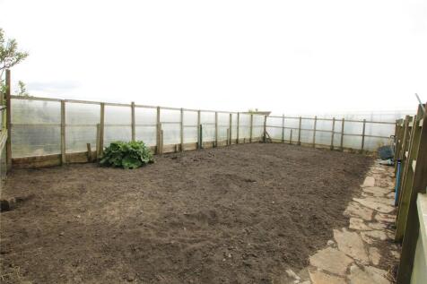 Vegetable Plot