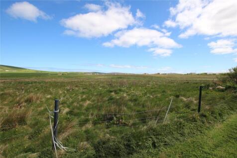 Field