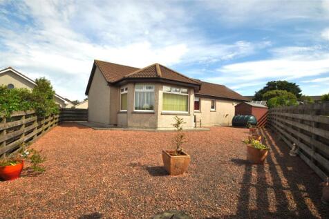 Back Garden