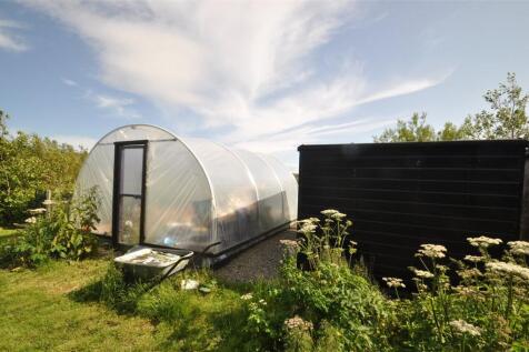 Polytunnel