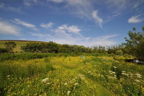 Meadow