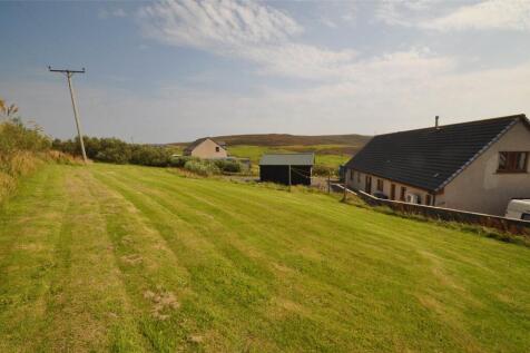 Rear Lawn