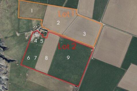 Field Plan