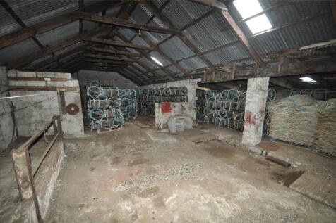 Store (1)