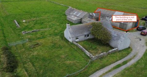 Outline Not Included