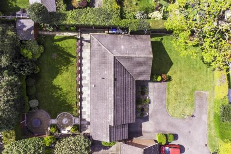DJI_0752.jpg