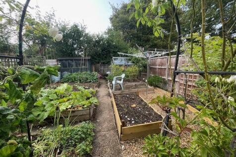 12 Elms Croft Garden 4.jpg