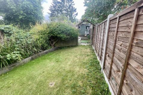 garden 2.jpg