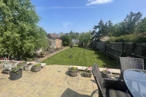 garden 2.jpg