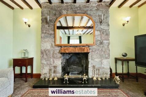 Feature Fireplace