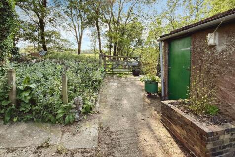 Garden/Driveway