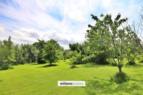 Orchard