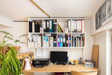 Study Area