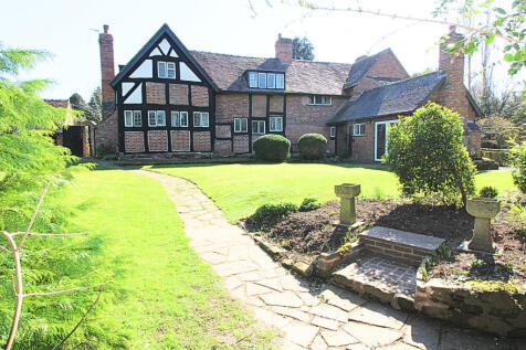 back garden