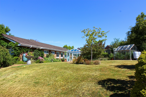 front garden new