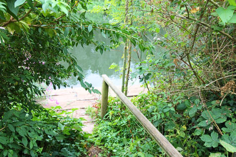 garden with river