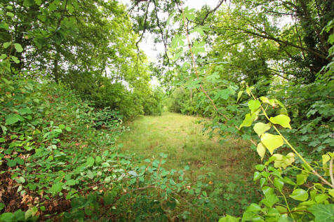 garden 2