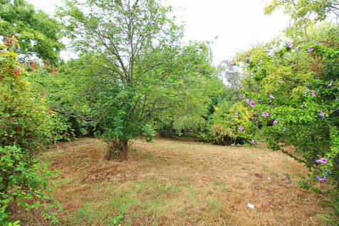 garden tree