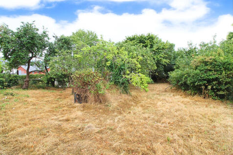 orchard