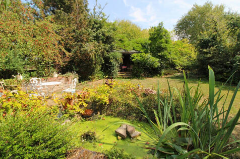 pond
