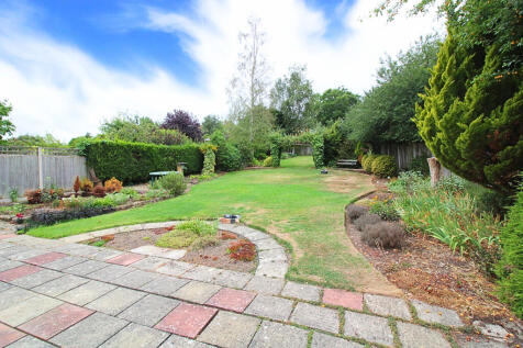 lower end of garden