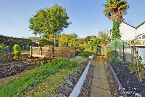 Side Garden