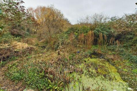 Pond