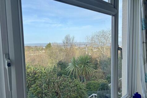 Window View