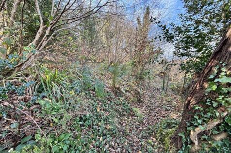 Woodland