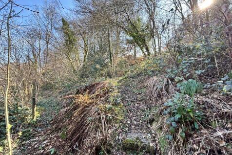 Woodland