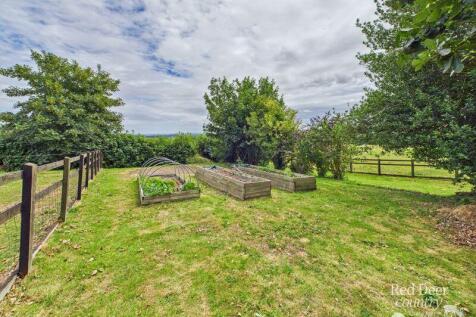 Veg Garden