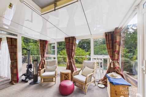 Kitchen/Living Space