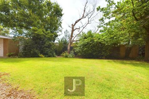 CAM01632G0-PR0126-STILL002.jpg