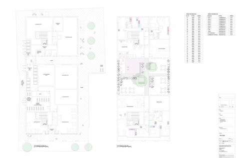 Plan - Public - 262-P202 REV -.jpg