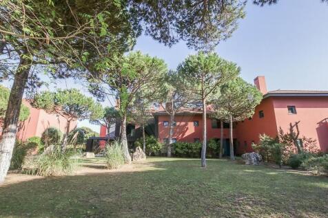 Property Image 49