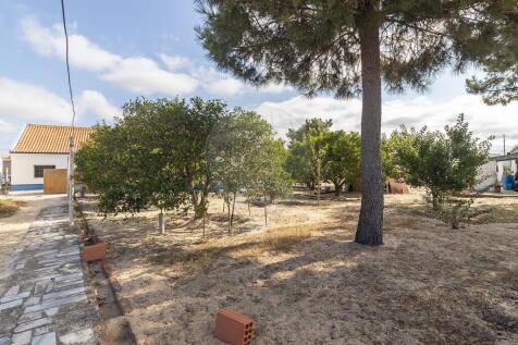 Property Image 39