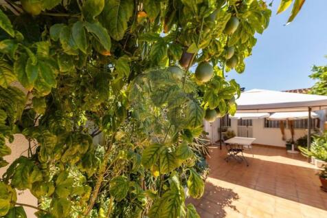 Property Image 44