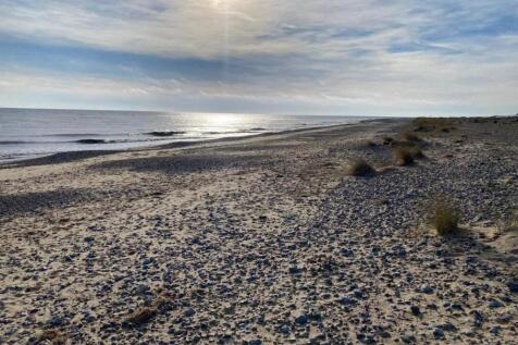 beach.jpg