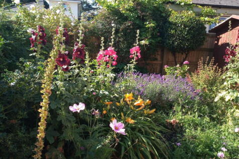 Property Image 24