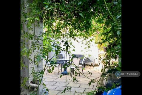 Rear Courtyard Garden