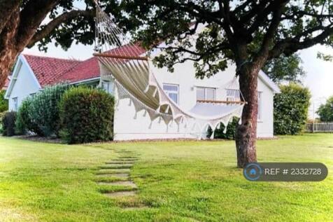 Hammock In Apple Trees