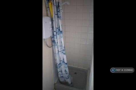 Lower Ground Floor Shower