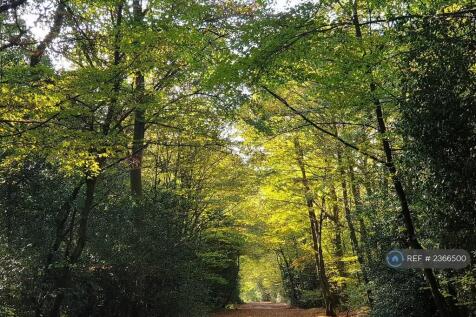 32 Meters From The Start Of Epping Forest