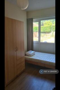 Downstairs Rear Bedroom (Single Bed)