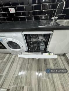 Kitchen Dishwasher