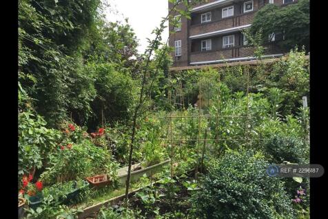 Vegetable Garden