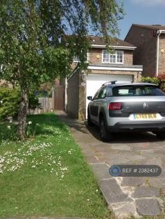 Front Driveway